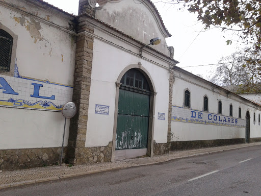 Old Cellar Colares Mosaic Art