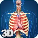 ダウンロード My Respiratory System Anatomy をインストールする 最新 APK ダウンローダ