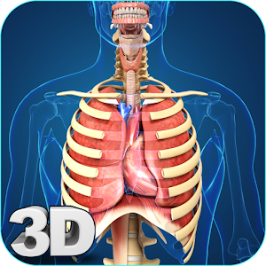 Download My Respiratory System Anatomy For PC Windows and Mac