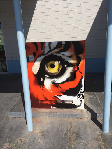 Tiger Eye Painted Box