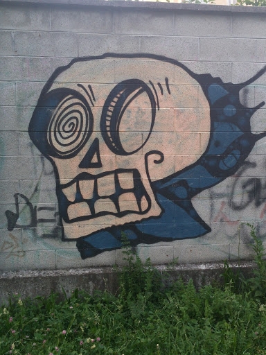 Skull Murales