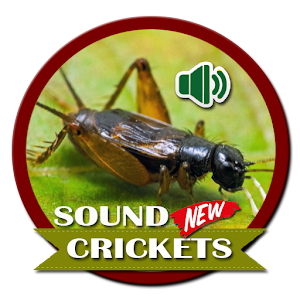 Download New Cricket Voice For PC Windows and Mac