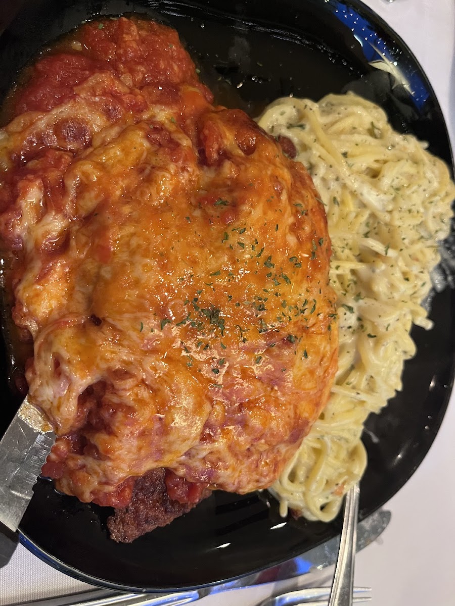 Chicken parmigiana with Alfredo sauce on noodles