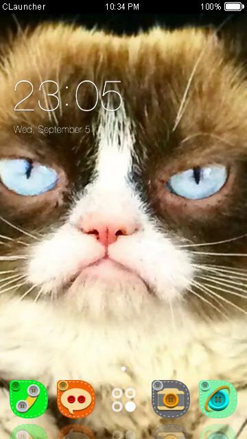 Android application Grumpy Cat Theme C Launcher screenshort