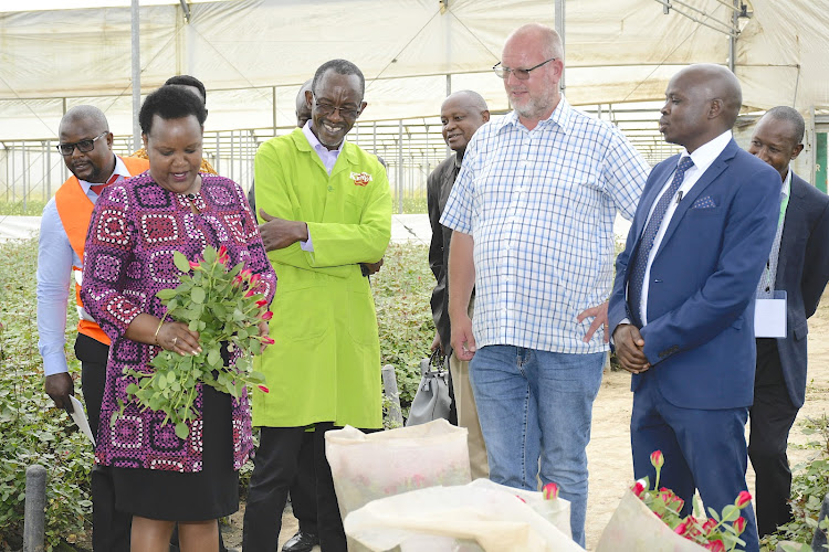 The CS for Labor Florence Bore (L) joins senior government officers when she toured Naivasha based Van-Den-Berg flower farm during a familiarization tour.