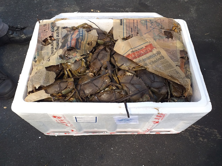 Approximately 5,300 crabs were incorrectly transported and then left to die at the cargo section of OR Tambo airport, the NSPCA says.