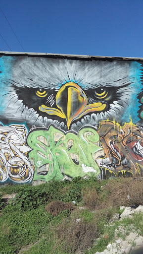 Mural Águila