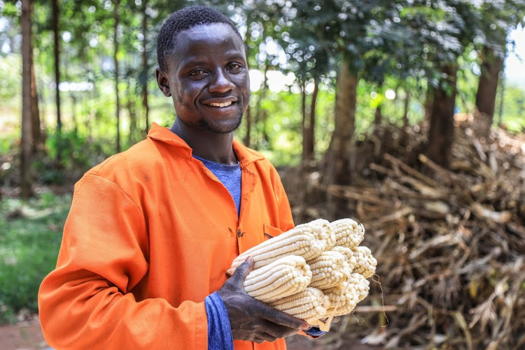 A farmer displays his maize harvest in Kenya