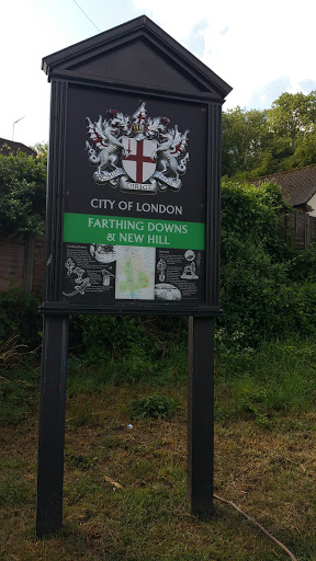 Farthing Downs And New Hill Sign, Meadway