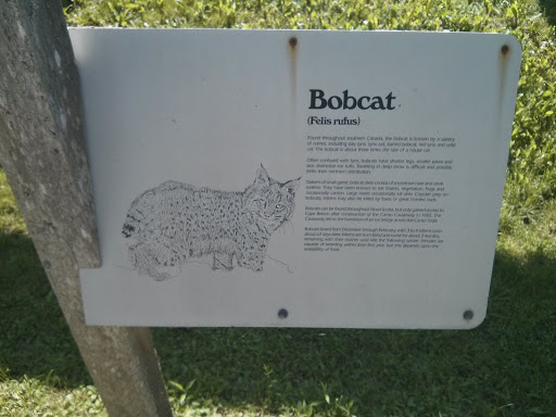 Bobcat Educational Sign