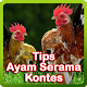 Download Tips Ayam Serama Kontes For PC Windows and Mac 1.0