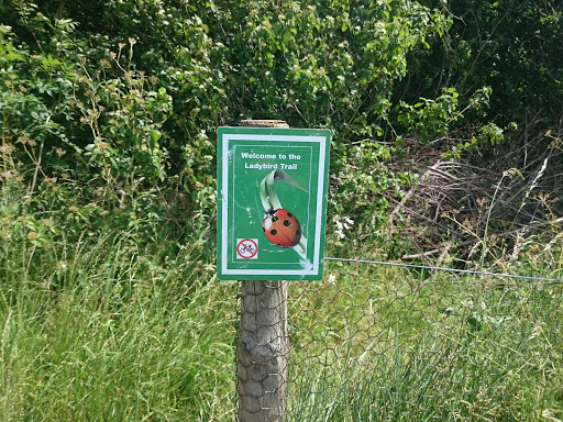Lady Bird Trail