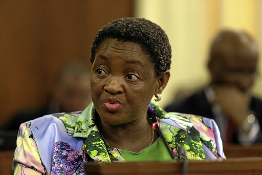 Minister in The Presidency responsible for Women Bathabile Dlamini.