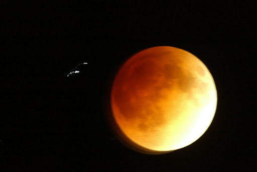 Orange ball of fire - lunar eclipse on the night of 4/5/04. Pic: Sydney Seshibedi. 4/5/04. © ST.
