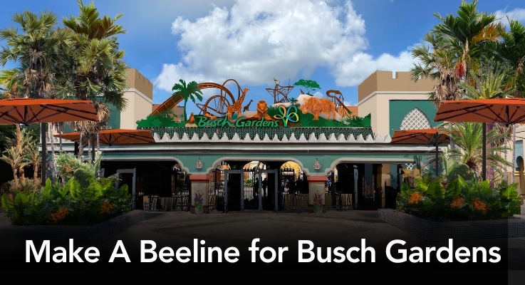 Make A Beeline for Busch Gardens!