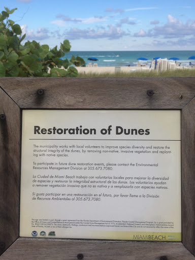 Restoration of Dunes