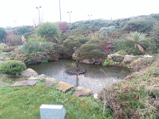 Plant Fountain