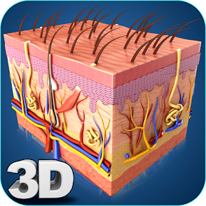 Download My Skin Anatomy For PC Windows and Mac