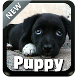 Puppy Theme Keyboard Apk