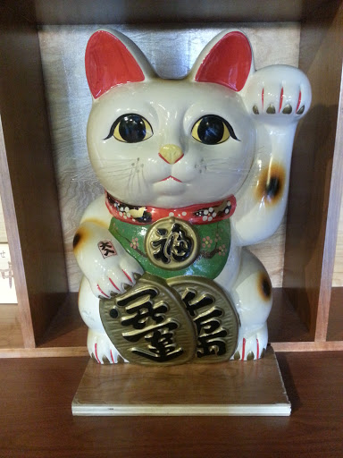 Japanese Kitty