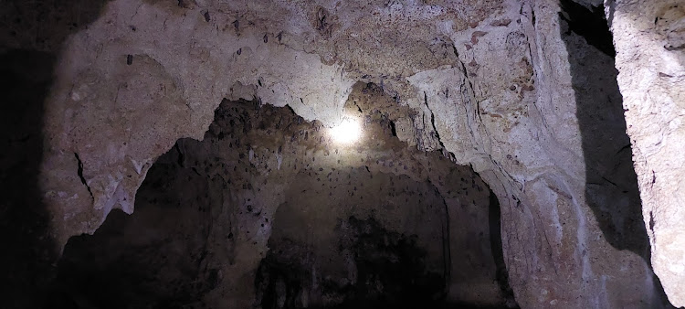 A section of the cave that harbours fruit bats