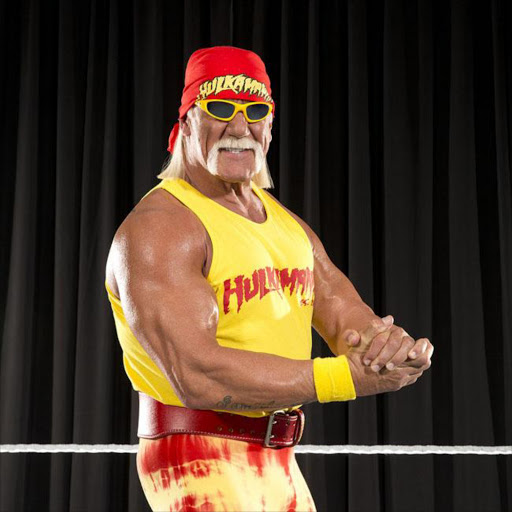 Hulk Hogan. File photo