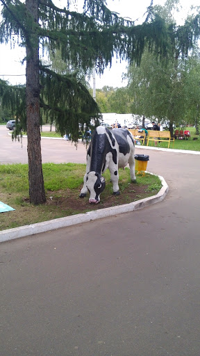 Cow Of Omsk
