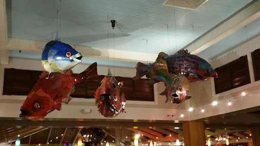 Incredible Flying Fish Art
