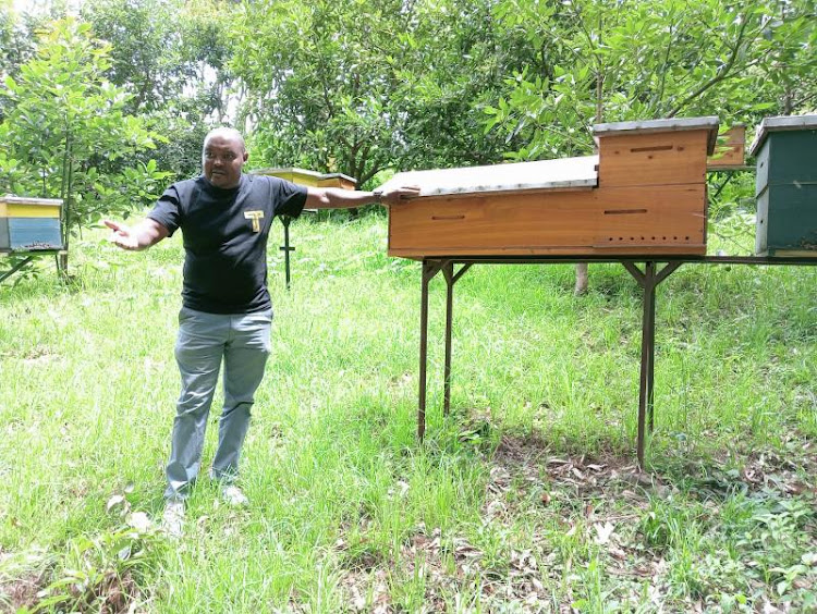 Peter Mbugua, director of Tendo Apiaries, shows some of the modern beehives he is supplying and using to train farmers at his farm in Lari subcounty, Kiambu county.