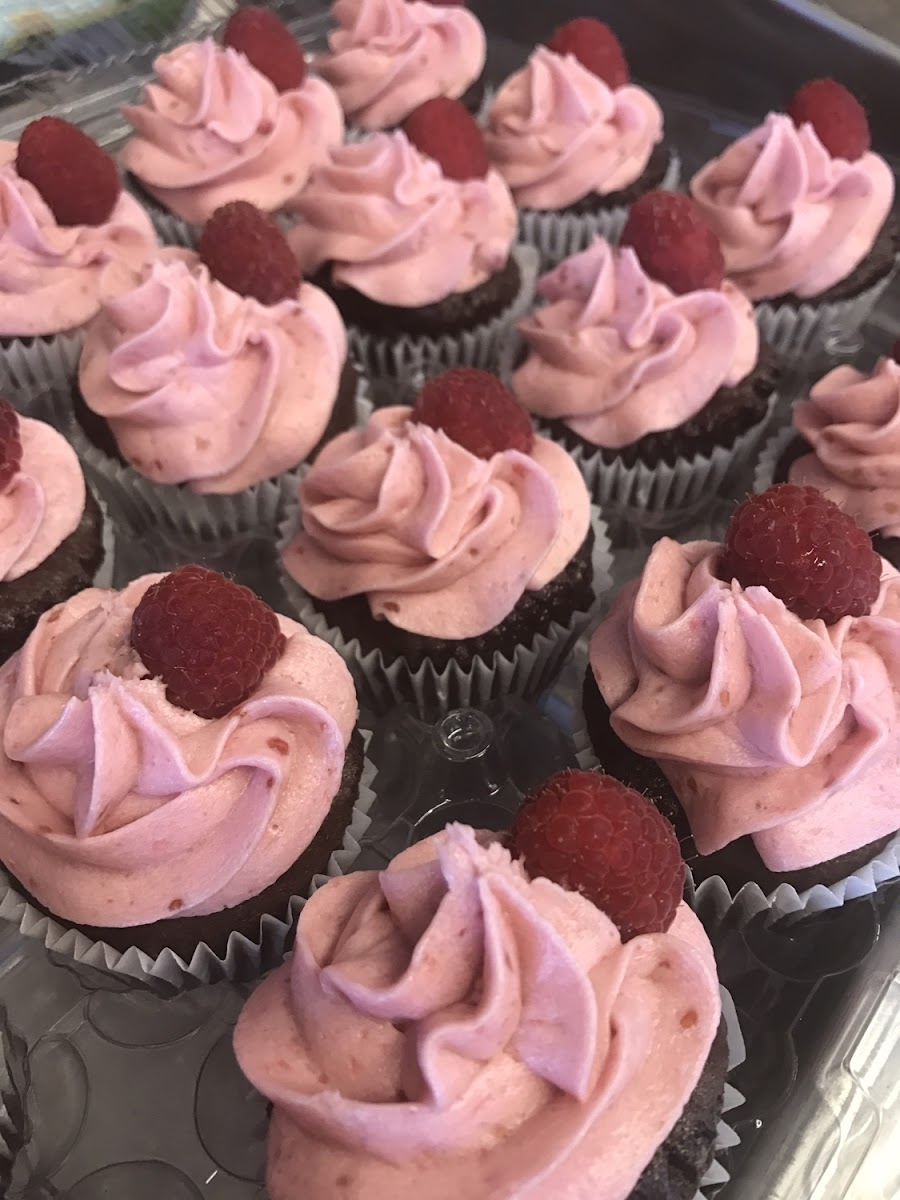 Chocolate cup cakes with raspberry frosting