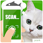 What cat want scanner joke Apk