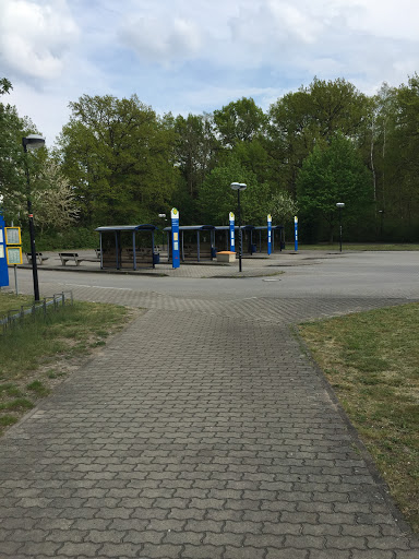 Bus Bahnhof Bad Liebenwerda 