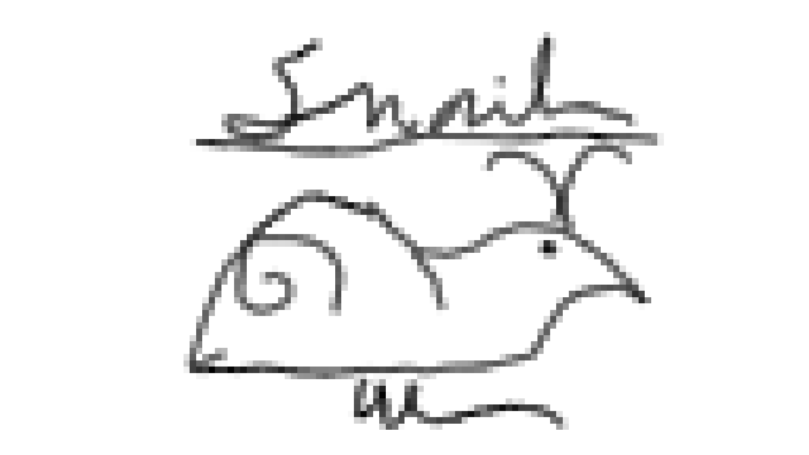 Snail