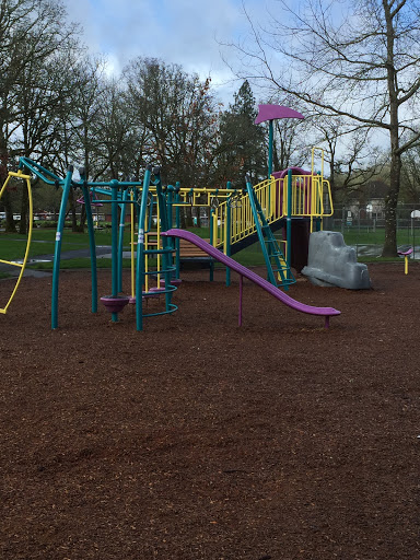 Terra Linda Park Play Structure 