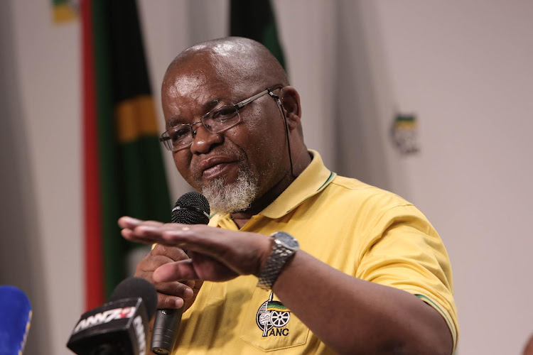 Mineral Resources Minister Gwede Mantashe. Picture: SOWETAN