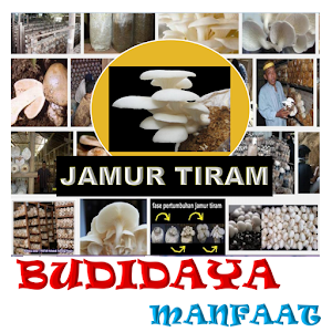 Jamur Tiram Budidaya & Manfaat.apk 1.0