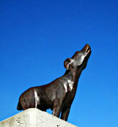 Perro de bronce