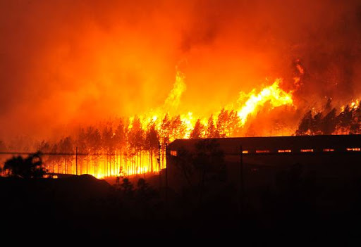 Raging fires at the Longmore Forest on June 07, 2017 in Knysna, South Africa.