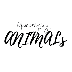 Download Memorizing Animals For PC Windows and Mac