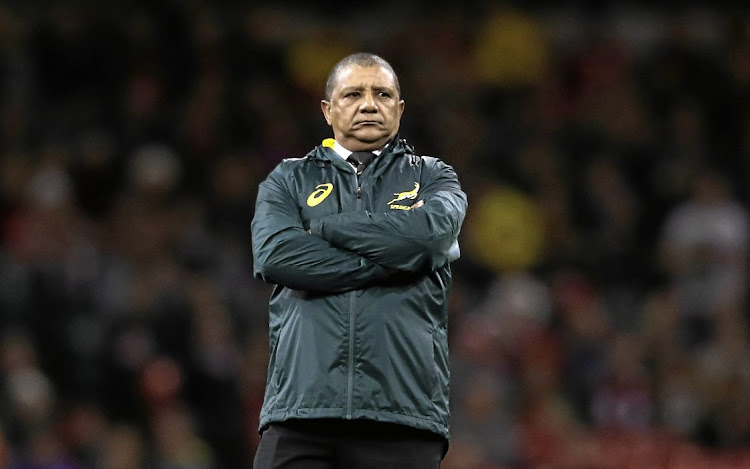 Springbok coach Allister Coetzee's reign appears to be at an end. Picture: Getty Images