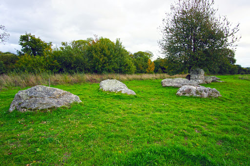 Champ De Pierres