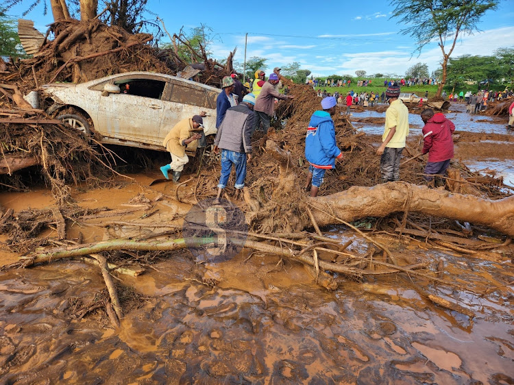 Residents trying to push out a fallen tree that trapped a vehicle.