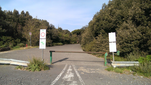 Castelfusano Park Entrance