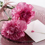 Carnation for Mum - Wallpapers Apk