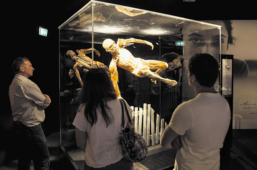 The Body Worlds and The Cycle of Life exhibition opened at the V&A Waterfront in Cape Town yesterday. Bodies are donated to the exhibition and preserved through plastination