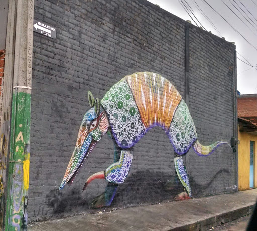 Mural Armadillo