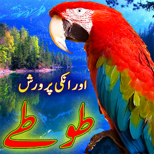 Download Parrot Care in Urdu For PC Windows and Mac