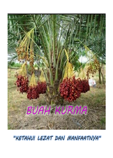 How to install KURMA JENIS & MANFAAT patch 1.0 apk for bluestacks