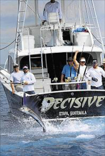 TIGHT LINES: Queenstown-born angler Captain Brad Philipps manoeuvres his charter sport fishing vessel Decisive after a on a sailfish is hooked by a client off the Pacific coast of Guatemala, where he now runs a successful charter fishing business
