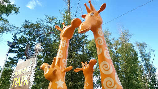 Оранжевые Жирафы 
